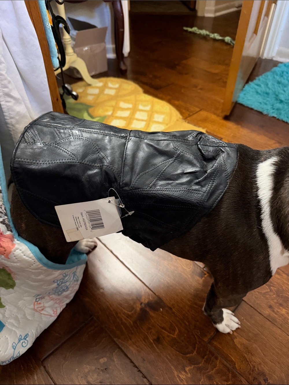 🐕‍🦺🐕‍🦺🐕‍🦺2 for 12$🐕‍🦺🐕‍🦺🐕‍🦺Black Dog Leather Jacket - Stylish Pet Coat